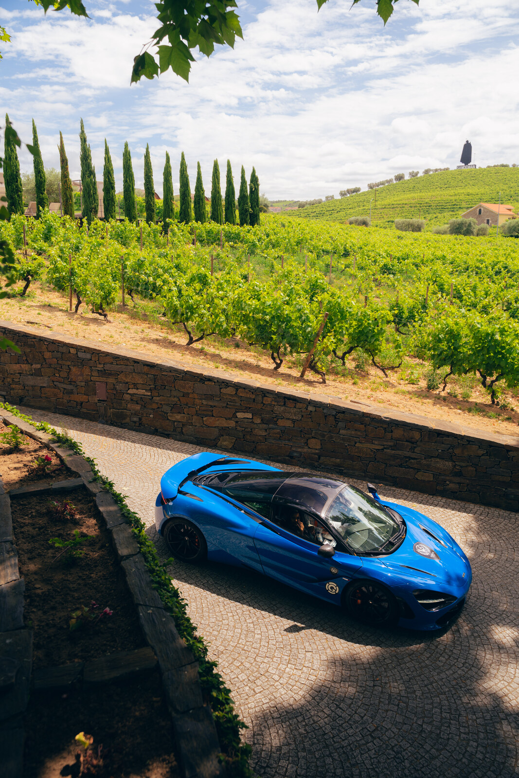 Supercar in the Douro vineyards